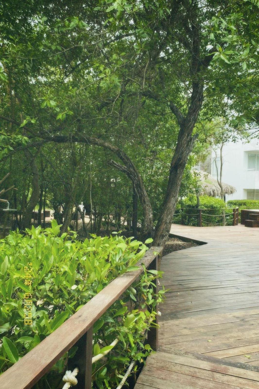 Santo Manglar Cartagena Life Wellness Spa Hotel Dış mekan fotoğraf