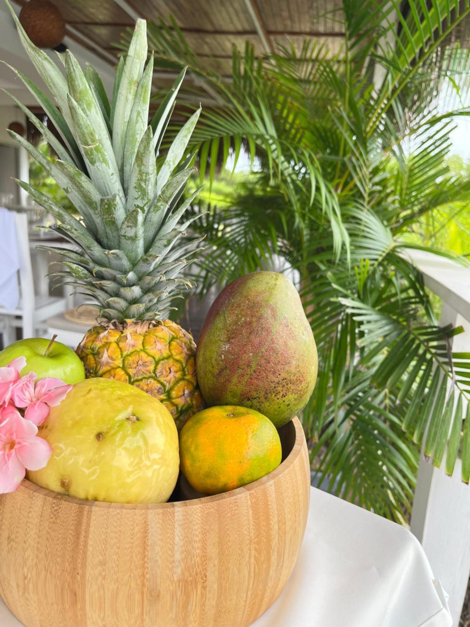 Santo Manglar Cartagena Life Wellness Spa Hotel Dış mekan fotoğraf